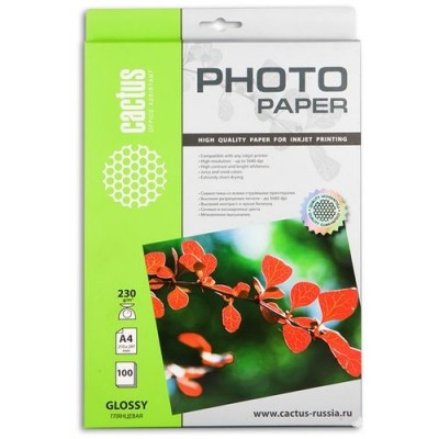 Бумага Cactus CS-GA4230100 A4/230г/100л/м2 глянцевая